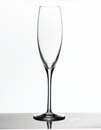 Champagne Glasses