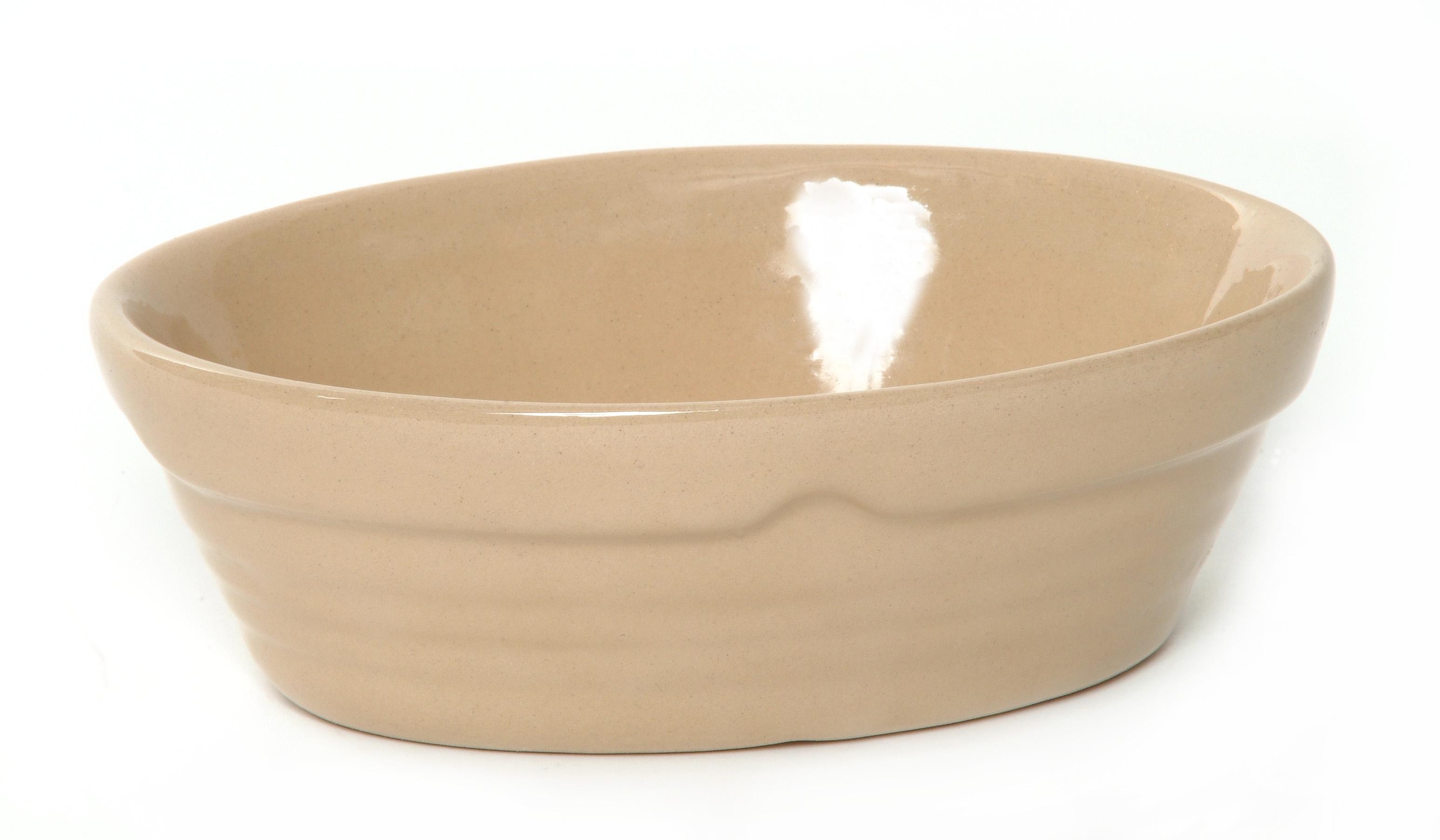 Bakeware Oval Baking Dish - DPS Oven to Tableware