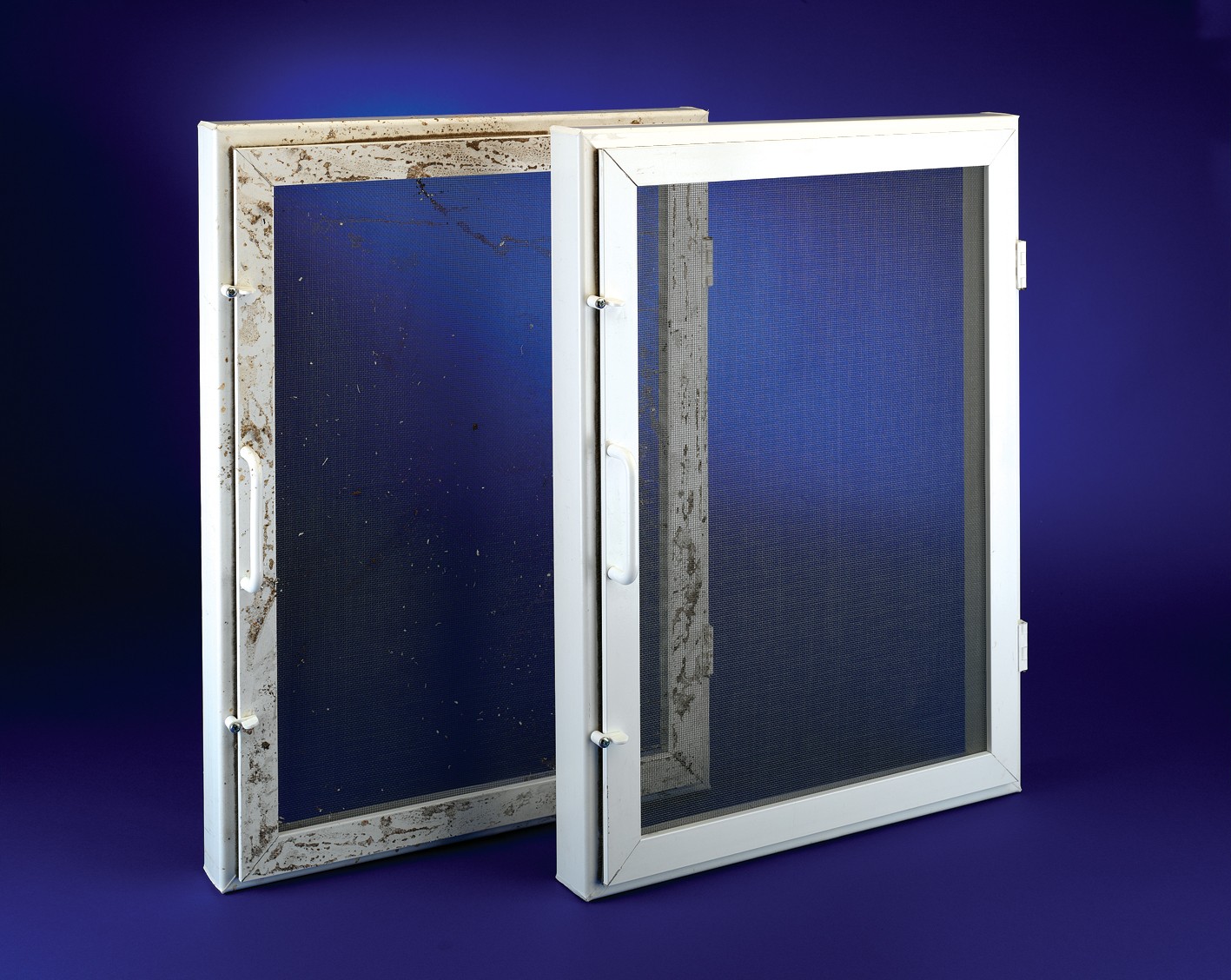 Flyscreen Windows - P.O.A - Insect-O-Cutor Flyscreens