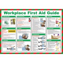 Workplace First Aid Guide Poster.