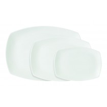 Xtras Cambered Plate