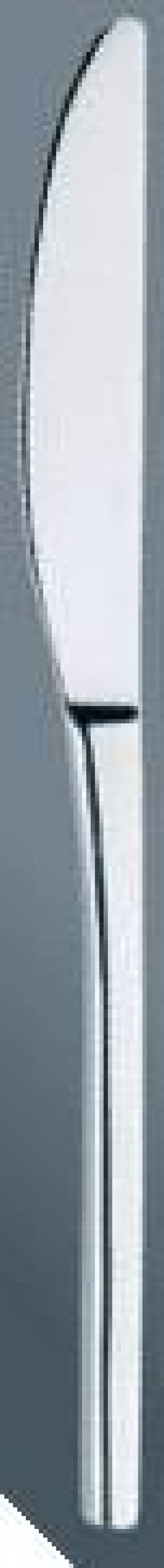 Muse Table Knife Solid Handle