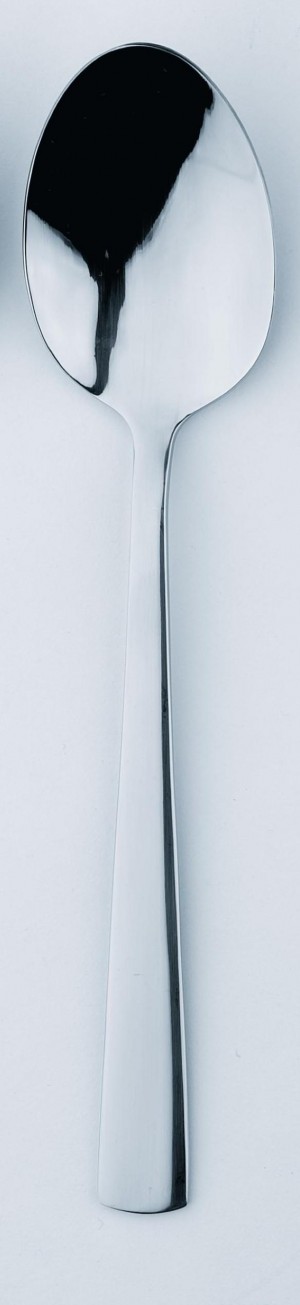 Denver Table Spoon