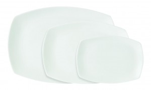 Xtras Cambered Plate