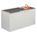 Elcold EL61 Chest Freezer - 21.5 cubic foot (With S.S. Lid)