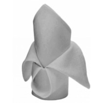 White Napkin